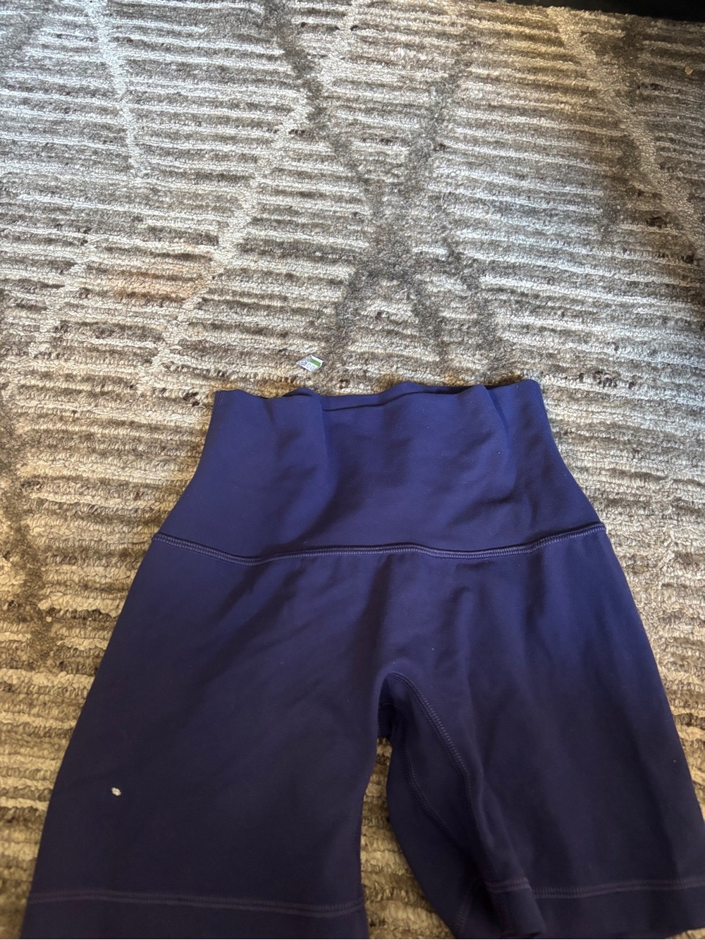 Aritzia High-Waist Athletic Bike Shorts in Deep Purple